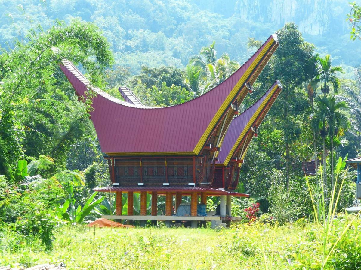 Toraja Torsina Hotel 兰特包 外观 照片